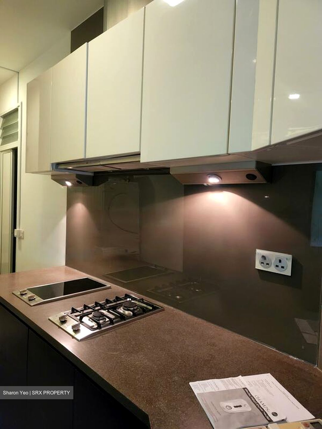 Belle Vue Residences (D9), Condominium #471317551